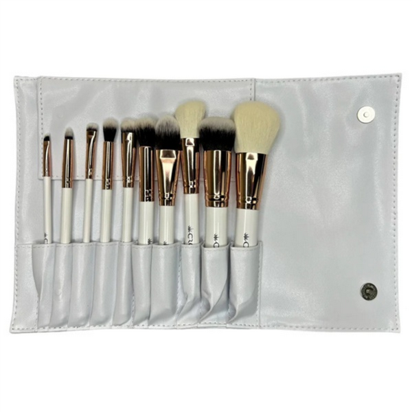 10Pc Pro Brush Set