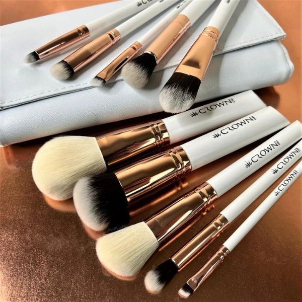 10Pc Pro Brush Set